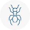 Ant Removals In Wyke