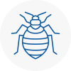 Bed Bug Extermination In Wyke