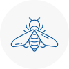 Bee Nest Removal Wyke