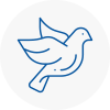 Bird Prevention Wyke