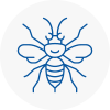 Wyke Hornet Nest Removals