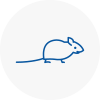 Mice Exterminators In Wyke