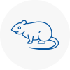 Rat Control Wyke