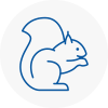Wyke Rodent Removals