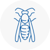 Wyke Wasp Nest Removal